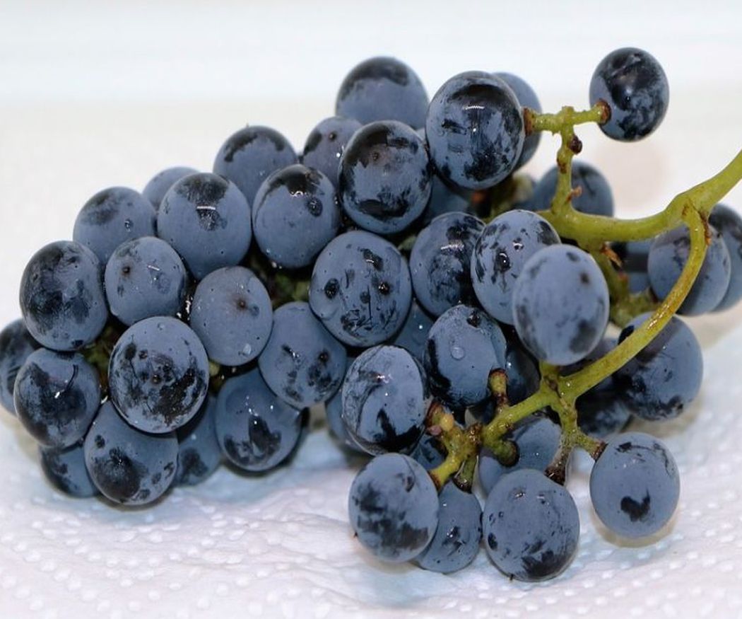 Los beneficios de la uva