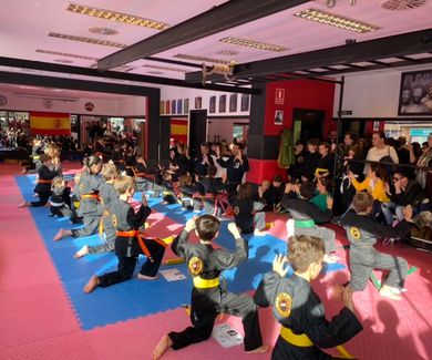 Bienvenido a la Escuela de Kenpo Ángel Ruiz, tu gimnasio de artes marciales en Las Rozas de Madrid.