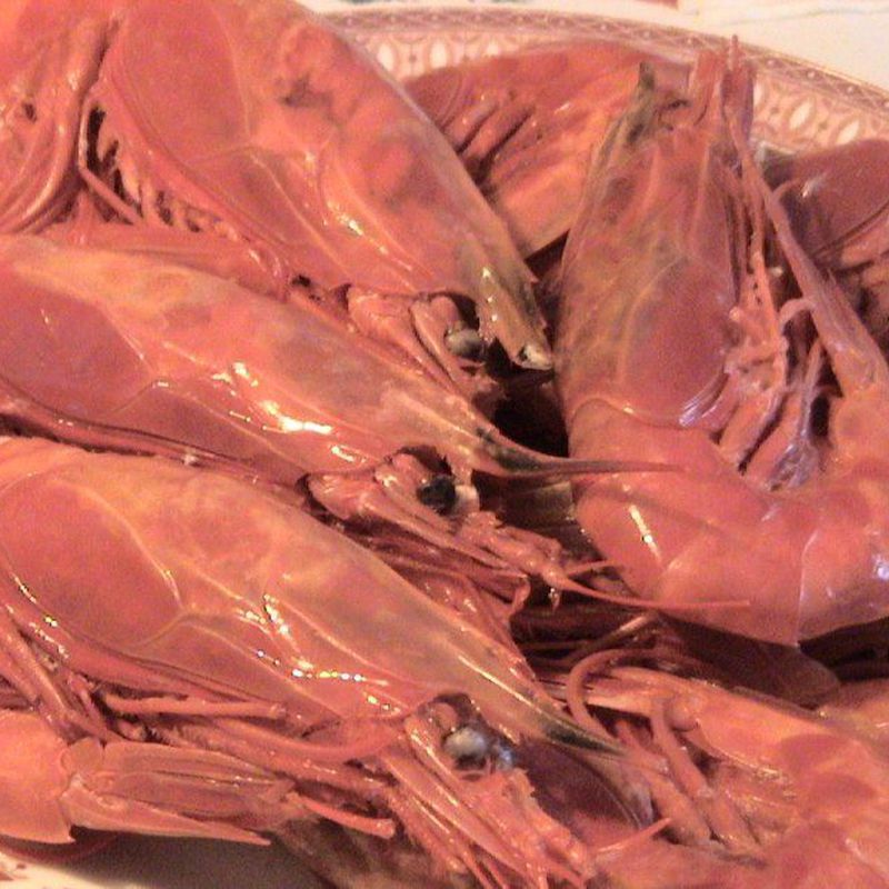 Carta - Entrantes: Servicios de Tamarises Izarra