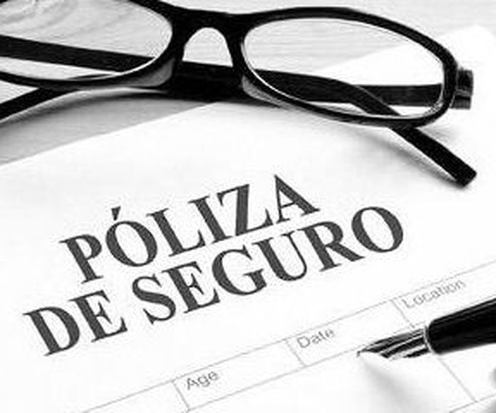 Seguros en Álava