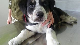 Imagen de Servicios - Medicina Interna