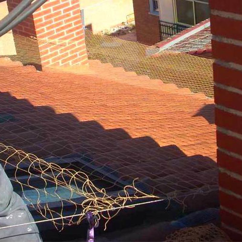 Instalación de red o pinchos antiaves en tejado, cubierta o alero.