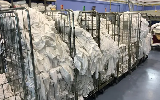 Imagen 5 de la galería