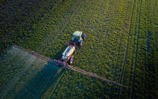 Imagen 1 de la galería