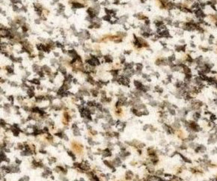 Granito Silvestre GT