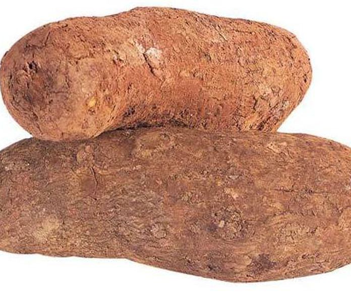 Ñame: PRODUCTOS de La Cabaña 5 continentes