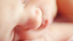 Imagen de Servicios - Interrupción voluntaria del embarazo