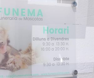 Tanatorio y crematorio de mascotas en Alzira, Valencia | Funema Alzira