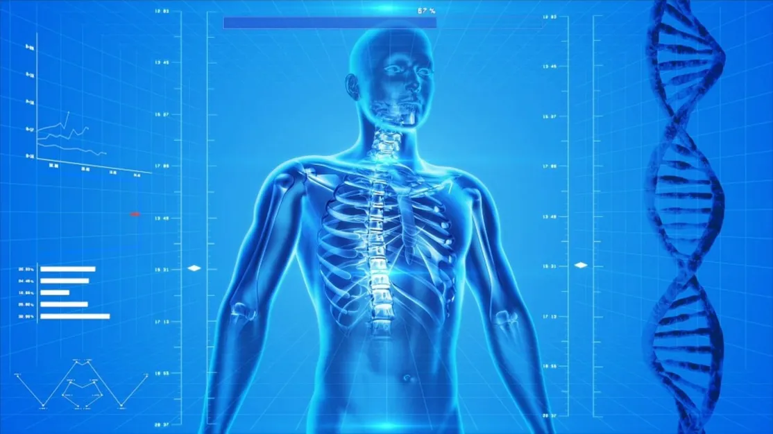 human-skeleton-163715_960_720 (1)