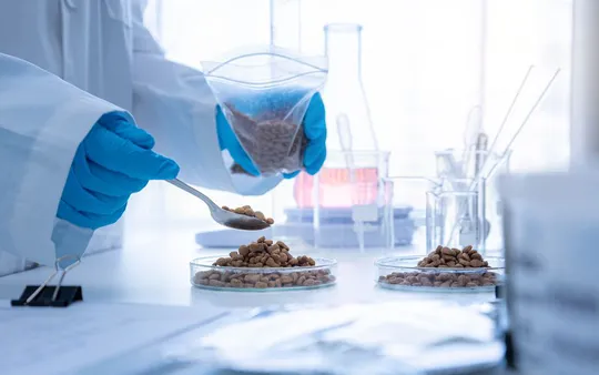 Imagen 7 de la galería