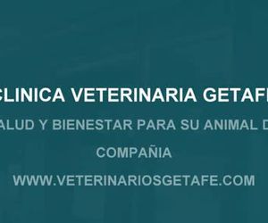 Clínica Veterinaria Getafe  www.veterinariosgetafe.com