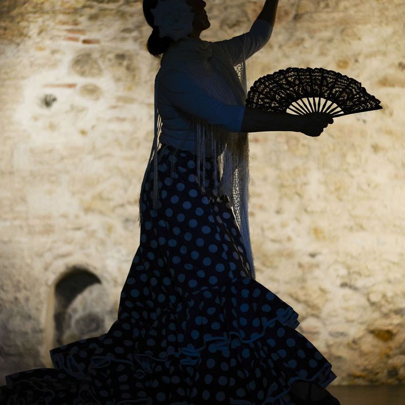 Danza Española: Cursos de Estudio de Danza Daphne