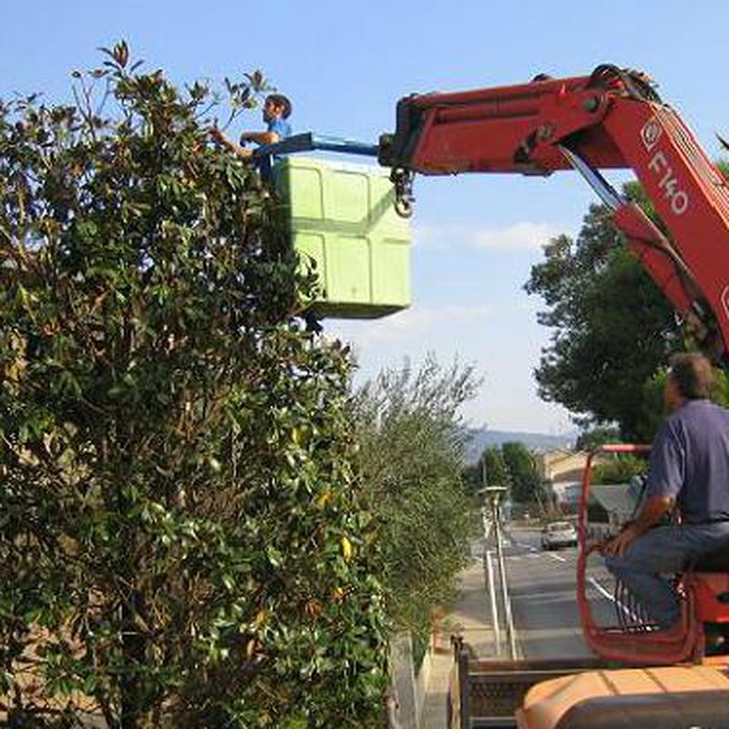 Podas: Catálogo de Jardineria Costa