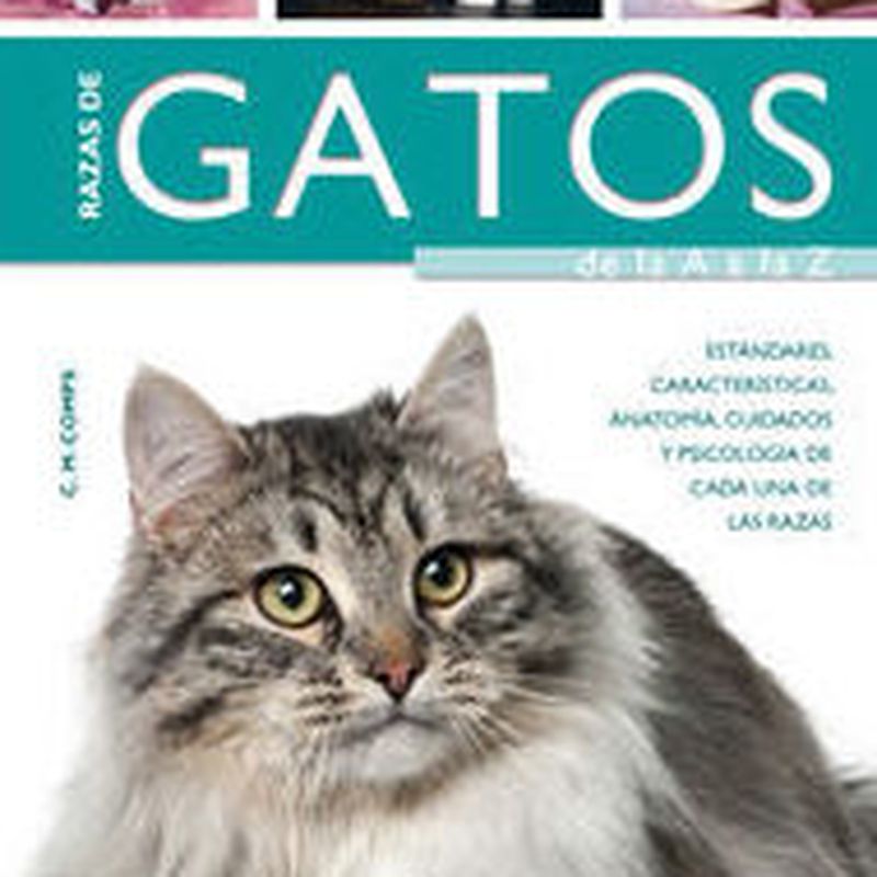 RAZAS DE GATOS DE LA A A LA Z