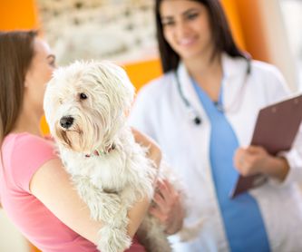 Identificación animal: Servicios de Clínica Veterinaria La Adrada