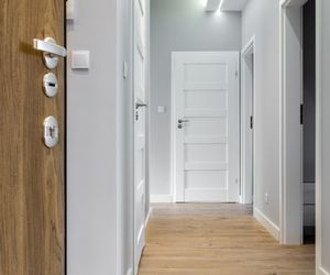 Decora tu casa con elegantes puertas de interior