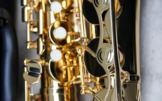 Imagen 1 de la galería