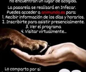SÉ UN SALVAVIDAS