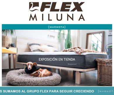 Distribuidores oficiales de Marmota