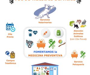 Todos Nuestros Servicios