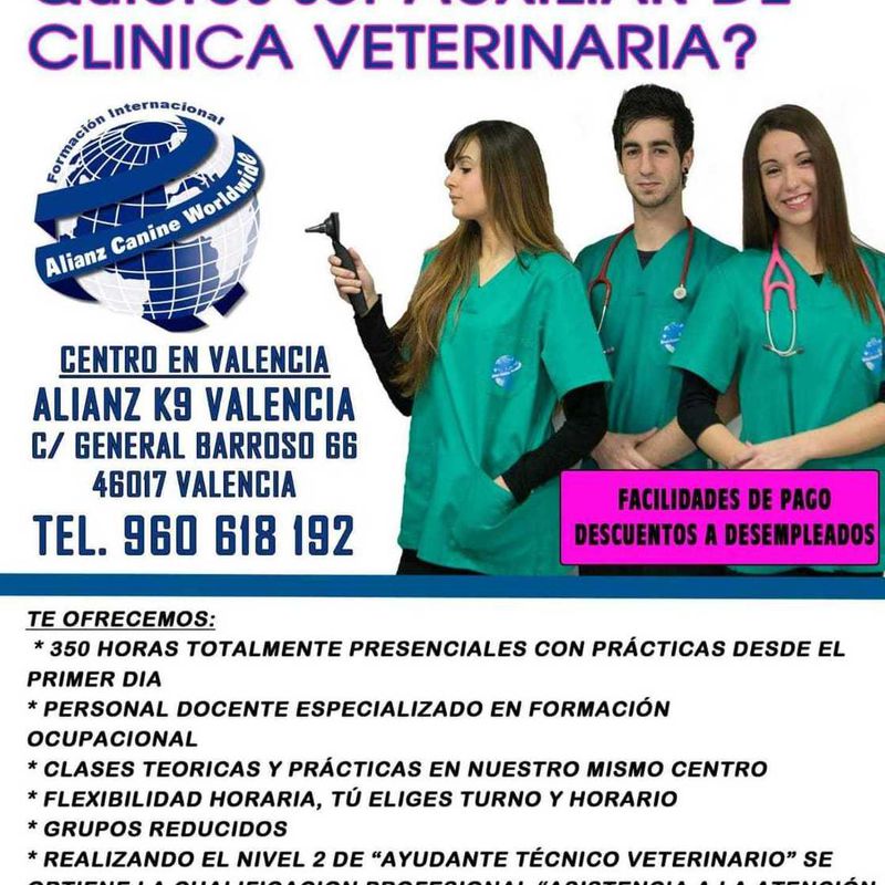 Curso de auxiliar de clínica veterinaria en Murcia