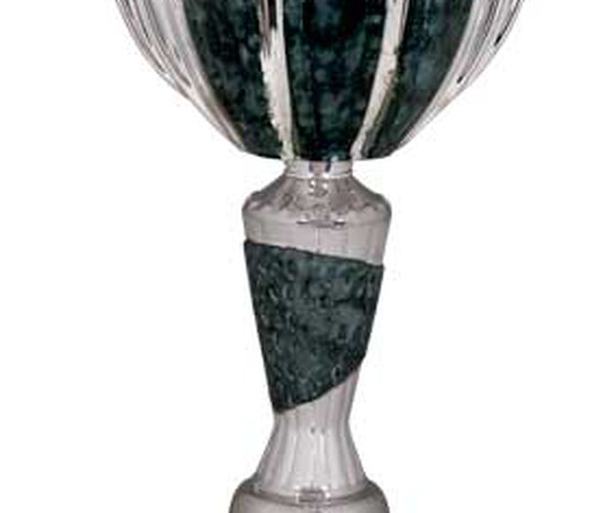 Copa de cerámica 3192