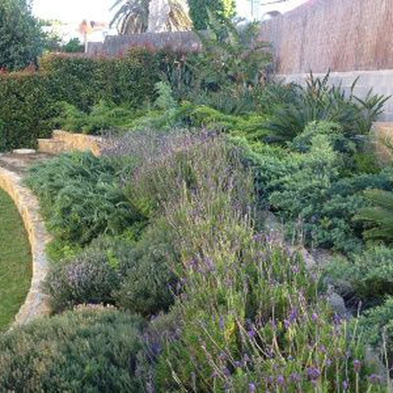 Paisatgisme i disseny de jardins: Els nostres serveis de Jardinería Bordera