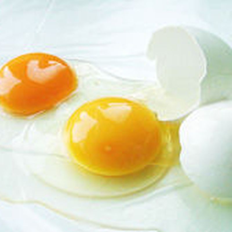 Clara Pasteurizada: Productos de Huevos Cañavate