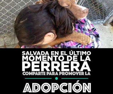 No compres, ADOPTA!!