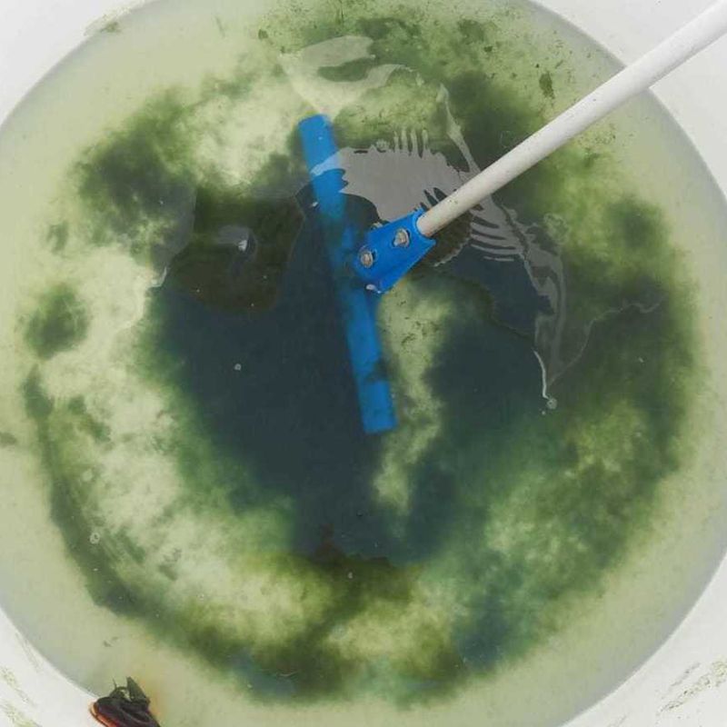 Limpieza de acumuladores de agua potable y aljibes: Servicios de Exterplagas