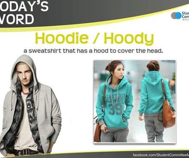 Hoodie/ hoody