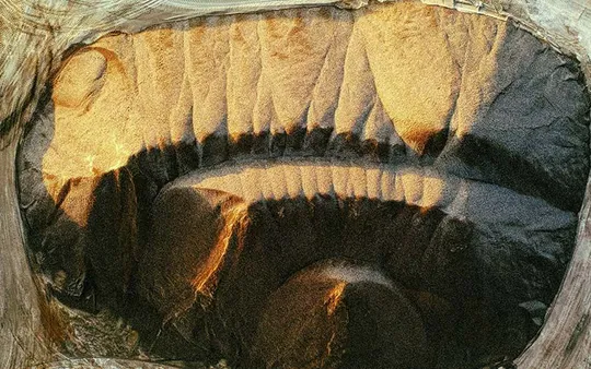 Imagen 3 de la galería