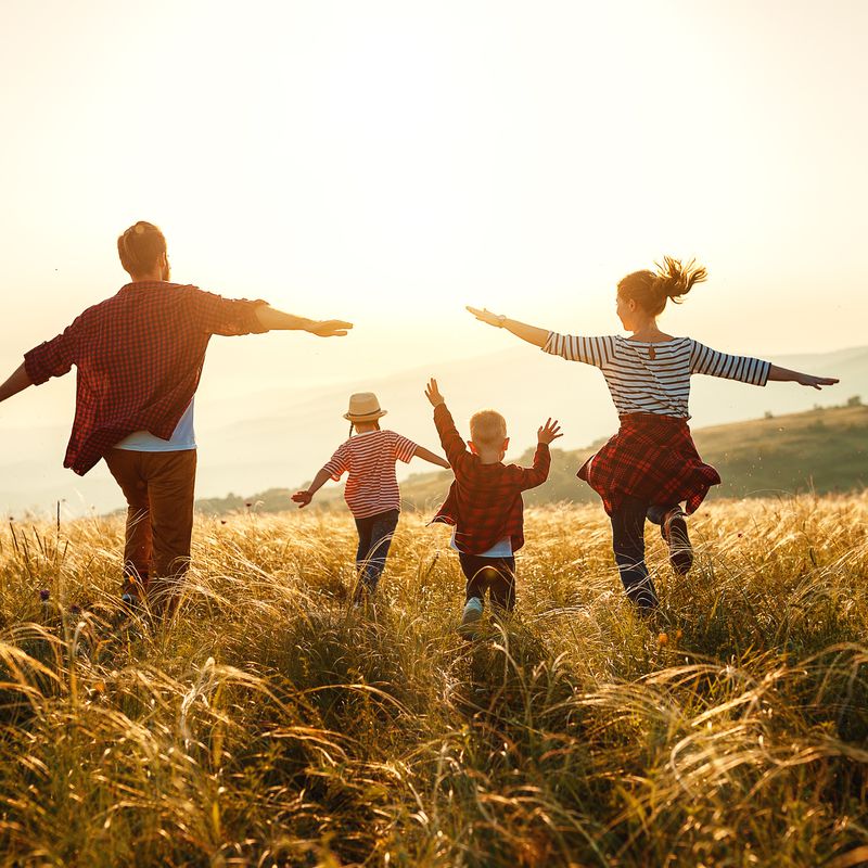 Terapia de familia: Terapias y servicios de Grupo de Psicología Médica y Psicosomática