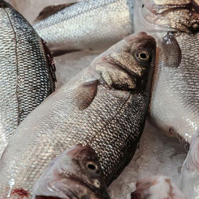 Medidas higiénicas para el consumo de pescado