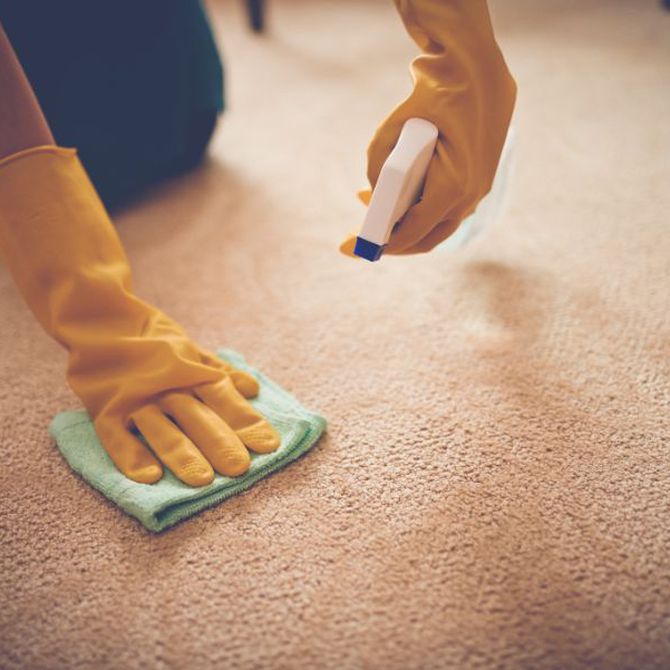 Tipos de limpieza de alfombras