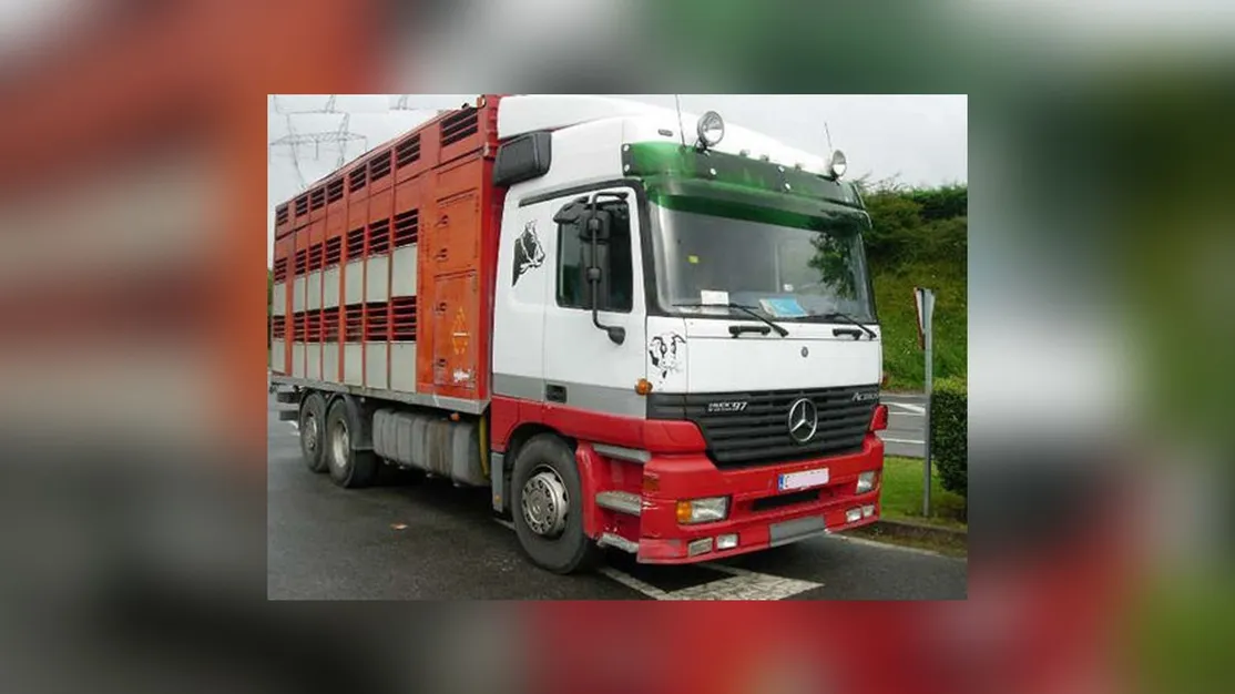 Empresa de transporte de animales en Vizcaya