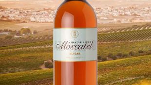 Imagen de CATÁLOGO - MOSCATEL ALVEAR
