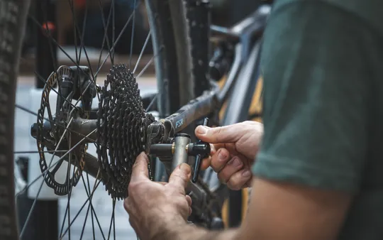 Imagen 7 de la galería