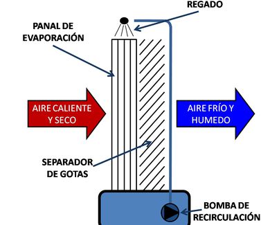 El verano está a la vuelta de la esquina! ¿Cómo hacer frente al calor?