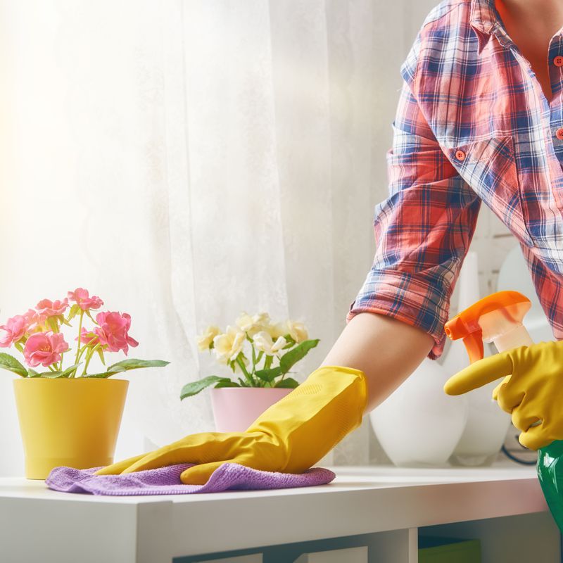 Limpieza del hogar: Servicios de Servineteja