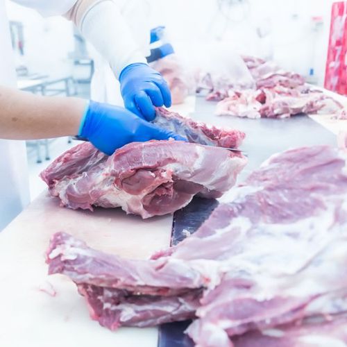 Matadero de carne de cerdo en Zamora
