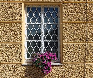 Elegir rejas para ventanas