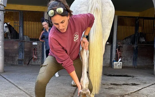 Imagen 2 de la galería