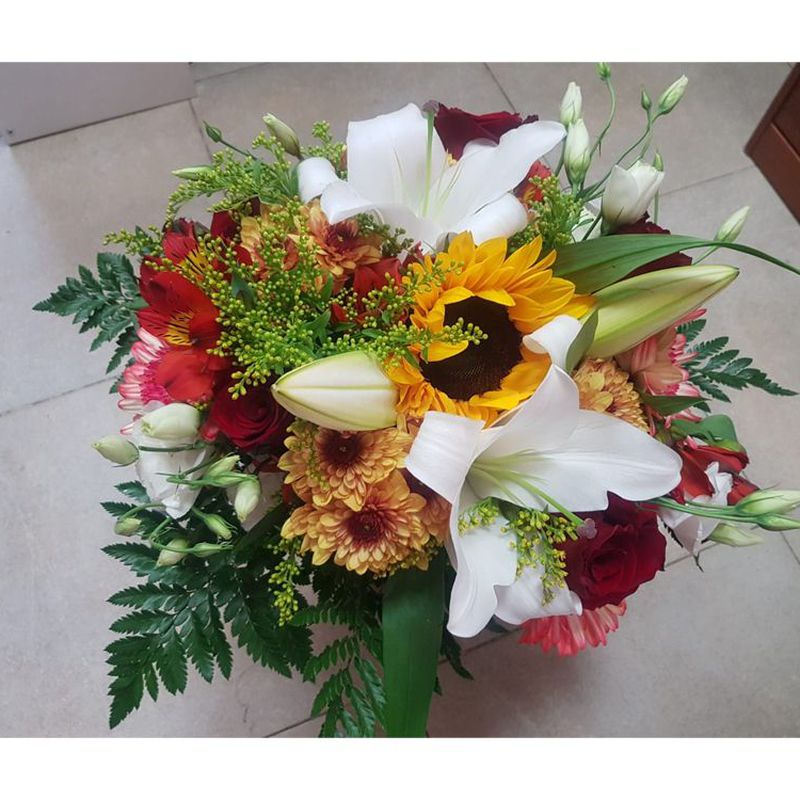 Bouquet variados: Catálogo de Flores Maranta