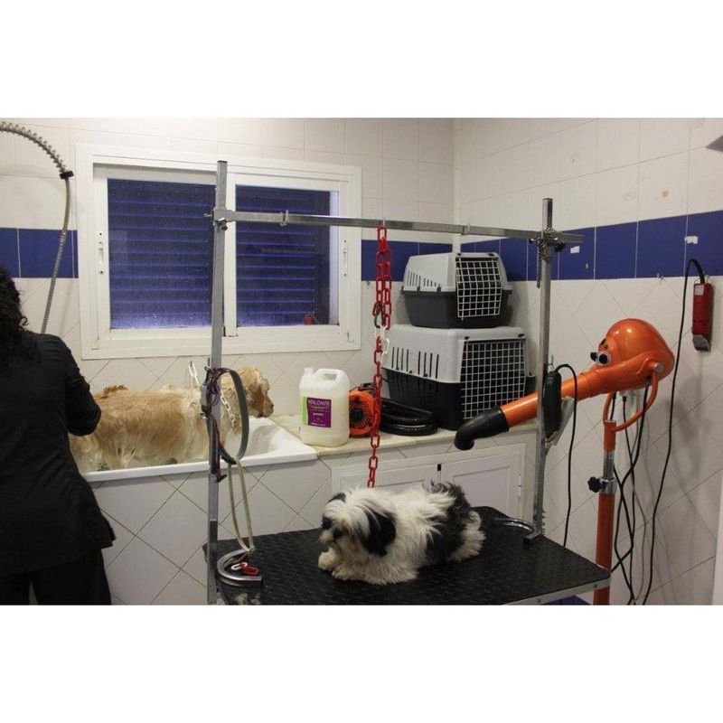 Peluquería canina y felina: Servicios de Clínica Veterinaria Fábula
