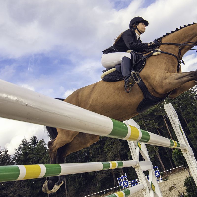 Clases de Equitación: Servicios de El Salobre Horse Riding