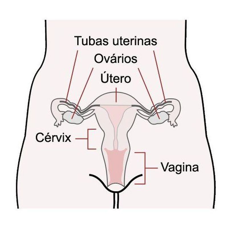 Miomas uterinos: Nuestros Tratamientos de HOSPITAL RECOLETAS DE SEGOVIA