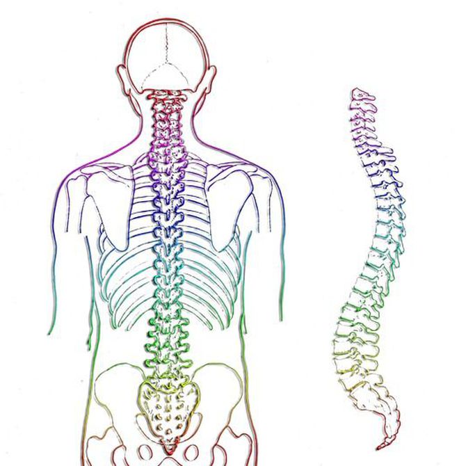 ¿Qué hacer para disminuir el riesgo de padecer dolores de espalda?