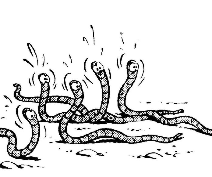 Lombrices intestinales