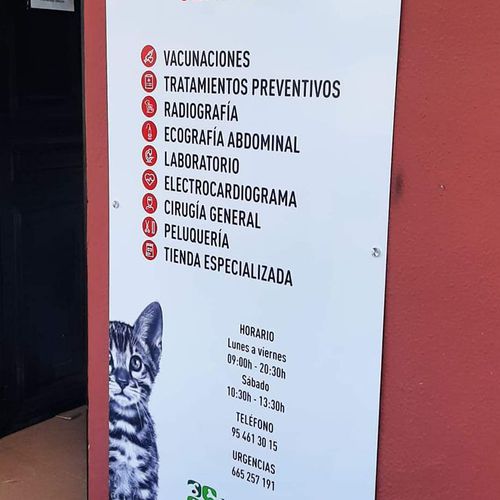 Clínica veterinaria urgencias en Sevilla